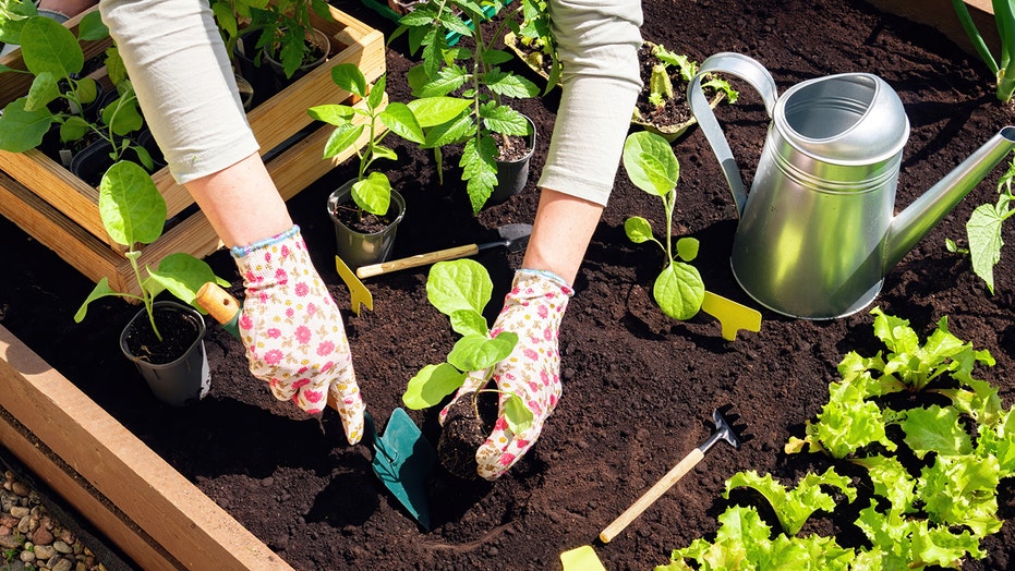 Wayfair's Outdoor Event is live: Save up to 77% on gardening deals for a limited time Architects Australia